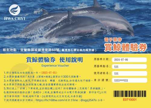賞鯨體驗券