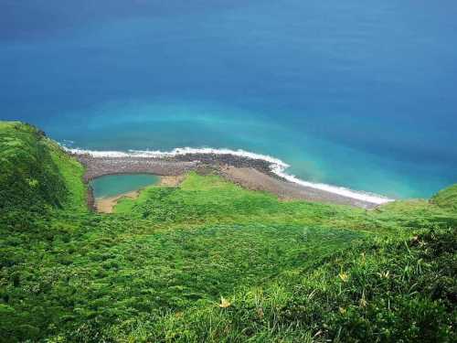 秋天龜山島賞鯨之旅